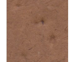 Nepaali paber DEKO 50x75 cm - õled kollane RDV5